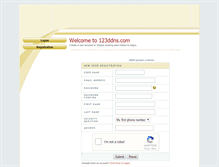 Tablet Screenshot of 123ddns.com